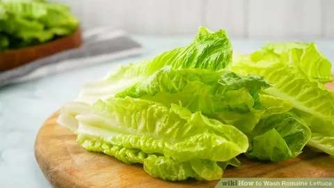 تصویر 3 از قیمت خرید کاهو شیرازی + فروش ویژه
